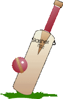 Cricket sport graphics