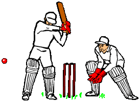 Cricket sport graphics