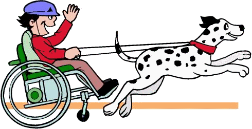 Disability sport