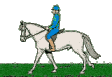 Dressage sport graphics