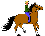 Dressage sport graphics