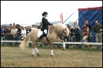 Dressage