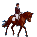 Dressage sport graphics