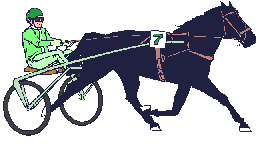 Equestrian mennen