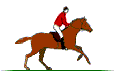 Equestrian sport graphics