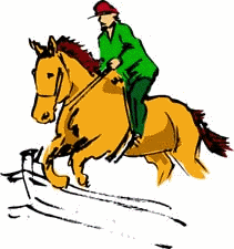 Equestrian sport graphics