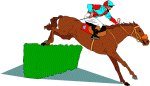 Equestrian sport graphics
