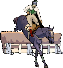 Equestrian sport graphics