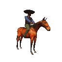 Equestrian sport graphics