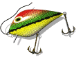 Fishing sport graphics