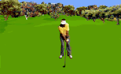 Golfing sport graphics