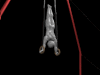 Gymnastics sport graphics
