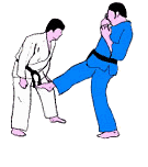 Jiu jitsu sport graphics