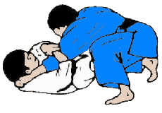 Jiu jitsu sport graphics