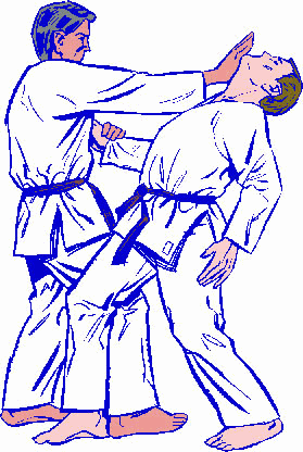 Jiu jitsu sport graphics