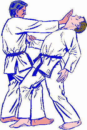 Jiu jitsu