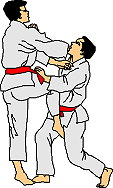 Jiu jitsu sport graphics