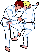 Judo sport graphics