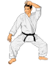 Judo sport graphics