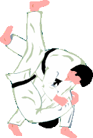 Judo sport graphics