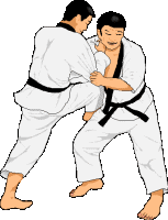 Judo sport graphics