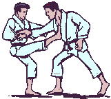 Judo sport graphics