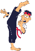 Judo sport graphics
