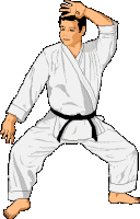 Karate sport graphics