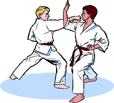 Karate sport graphics