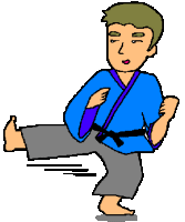 Karate sport graphics
