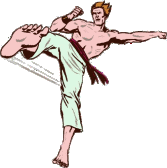 Karate sport graphics