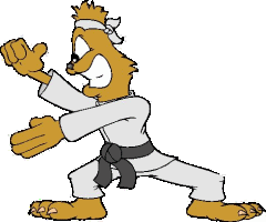 Karate sport graphics