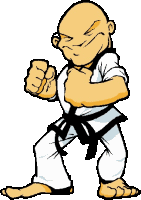 Karate sport graphics