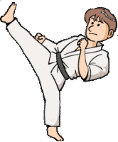 Karate sport graphics