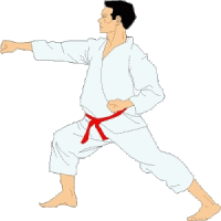 Karate sport graphics