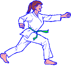 Karate sport graphics