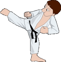 Karate sport graphics