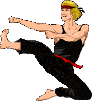 Karate sport graphics