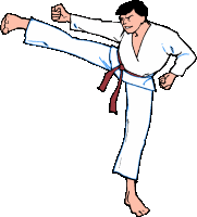 Karate sport graphics