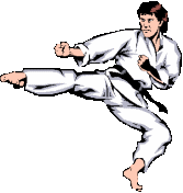 Karate sport graphics