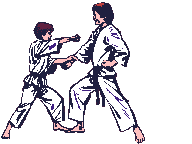 Karate sport graphics