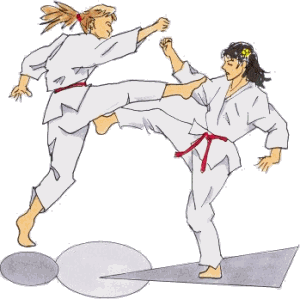 Karate sport graphics