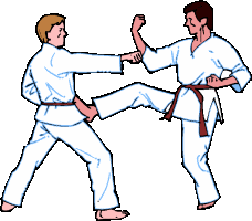 Karate sport graphics