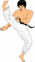 Karate sport graphics