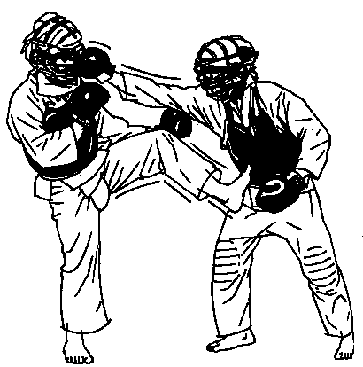 Kendo sport graphics