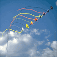 Kiting sport graphics