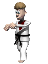 Kung fu sport graphics