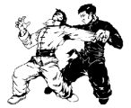 Kung fu sport graphics