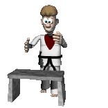 Kung fu sport graphics