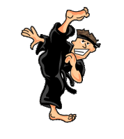 Kung fu sport graphics